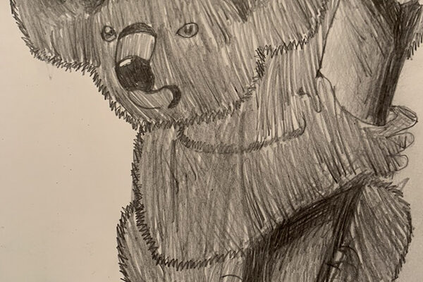 00EA701E-ACF5-41BD-A9B0-3BD015B1DDC1_1_105_c