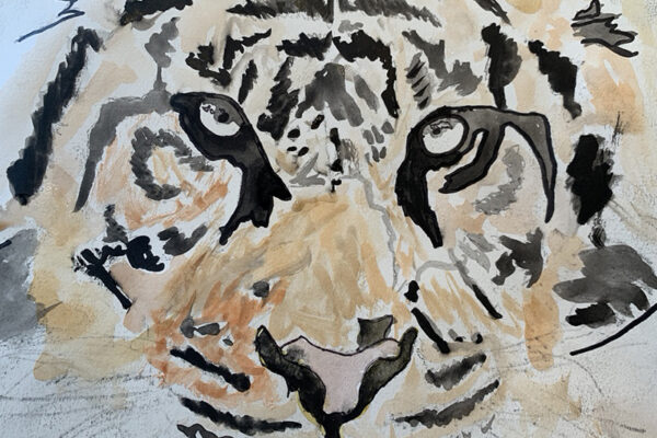 20C0134A-E12B-4807-8120-78D6BA788871_1_105_c