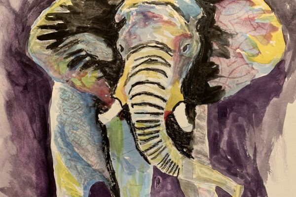 366F0342-02D8-4F5C-ADF5-789B1CBD7A49_1_105_c