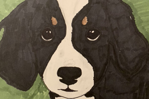 C4E85BC3-733F-4BFD-94C0-13143E6A747C_1_105_c