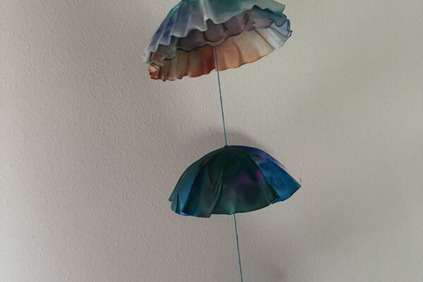 jelllyfish