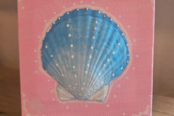 shell